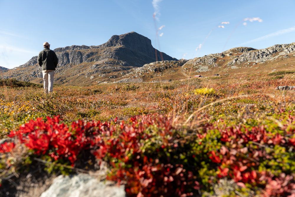 Man hiking through mountainous terrain with autumn foliage