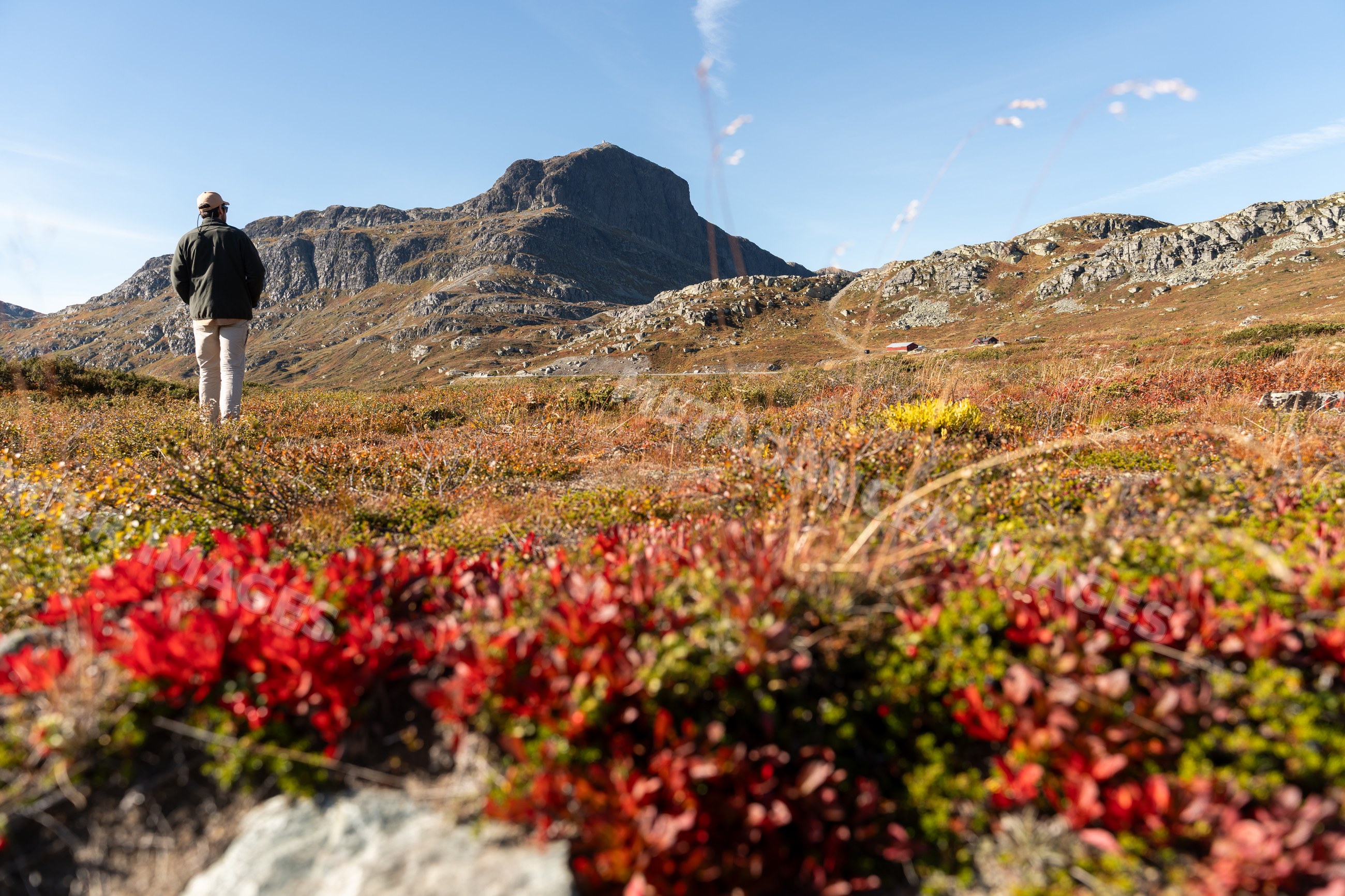 Man hiking through mountainous terrain with autumn foliage