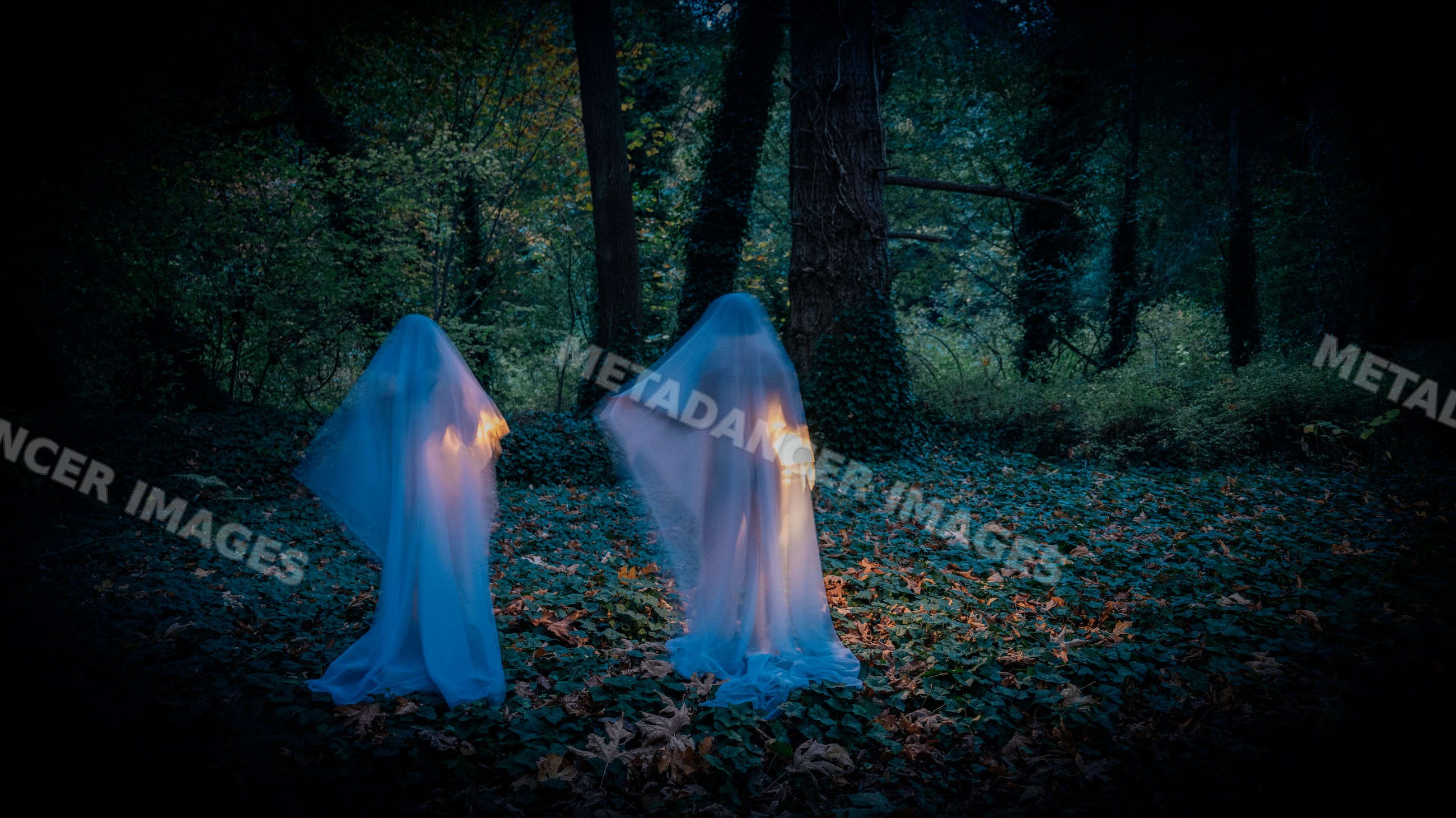 Two glowing ghost figures in dark forest at night