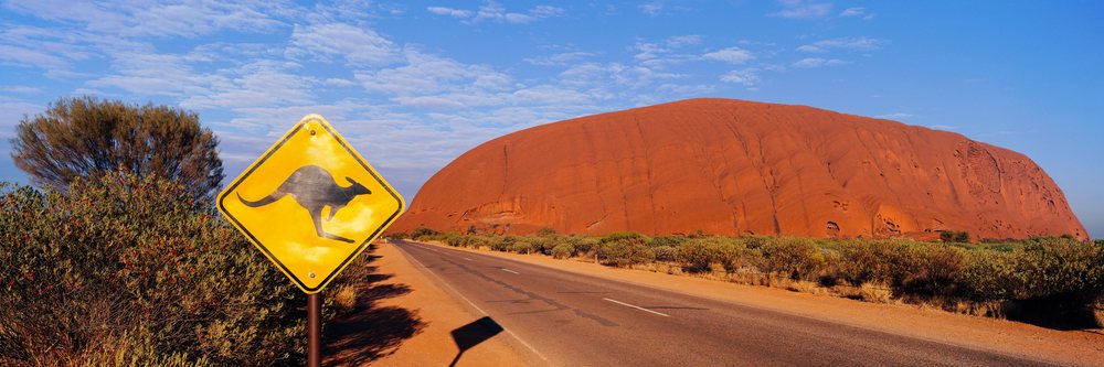 Road with kangaroo crossing sign