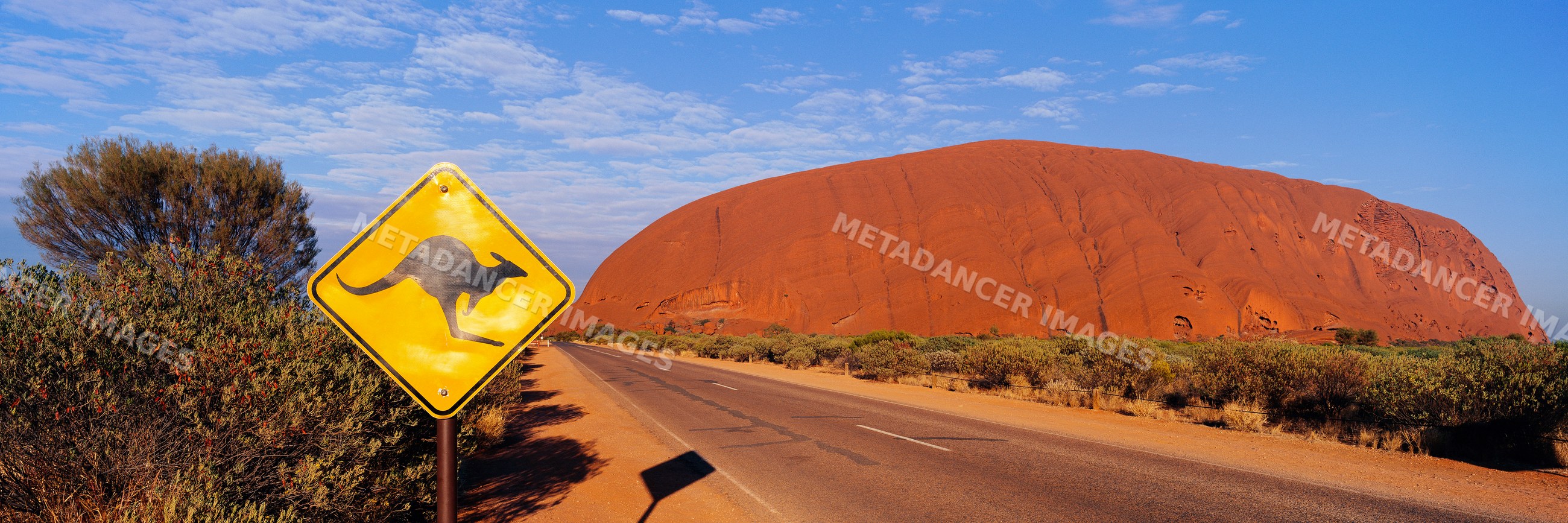 Road with kangaroo crossing sign