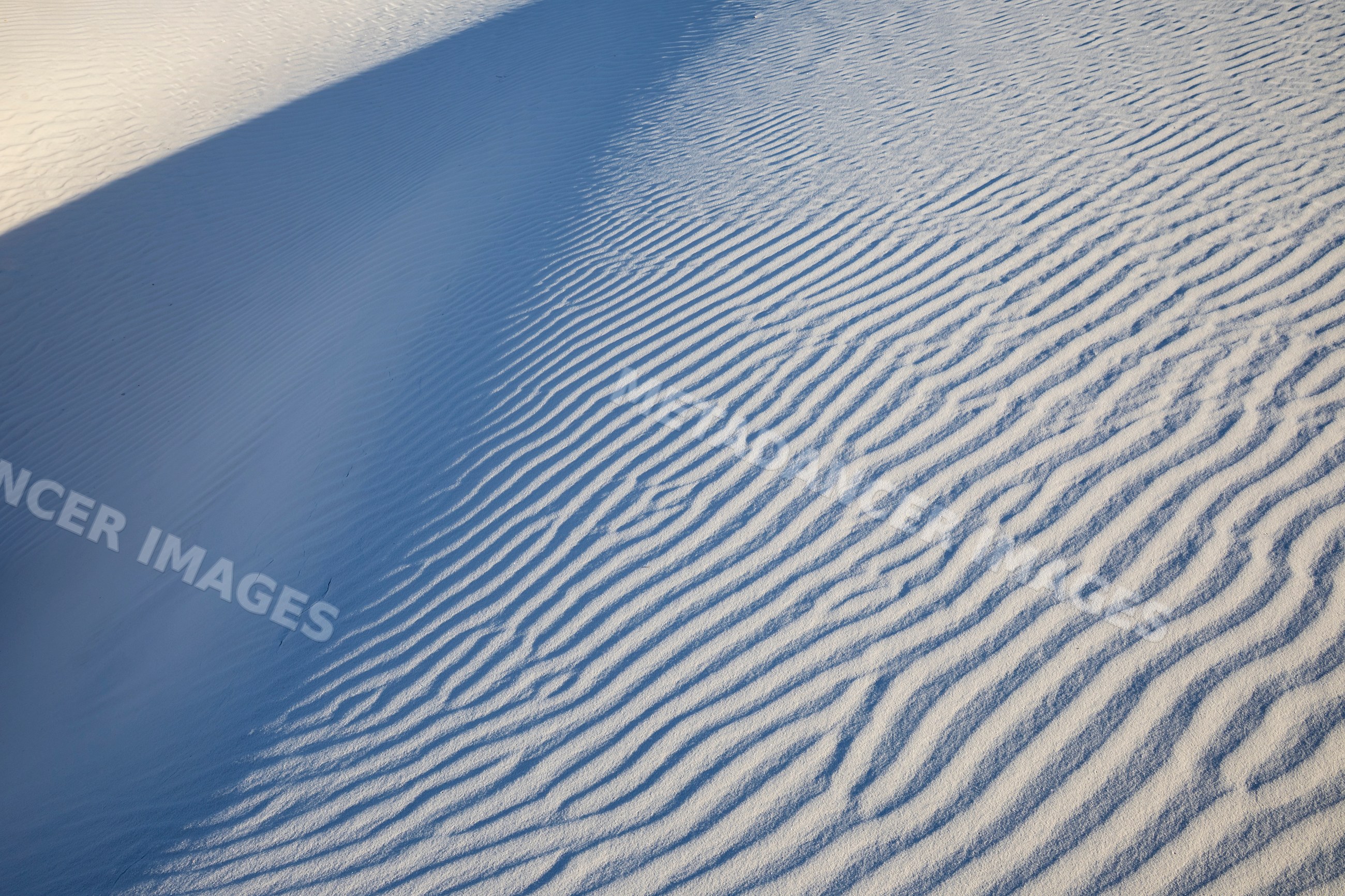 Wind ripples on white sand dunes in a park