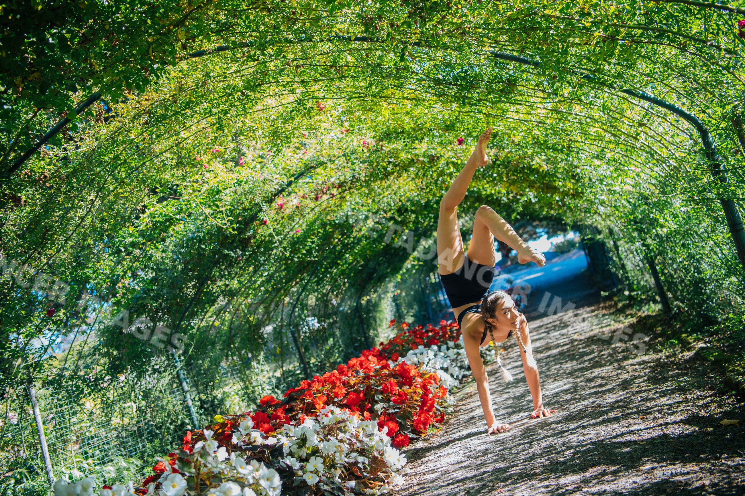 Contortionist performing handstand under flowered garden archway