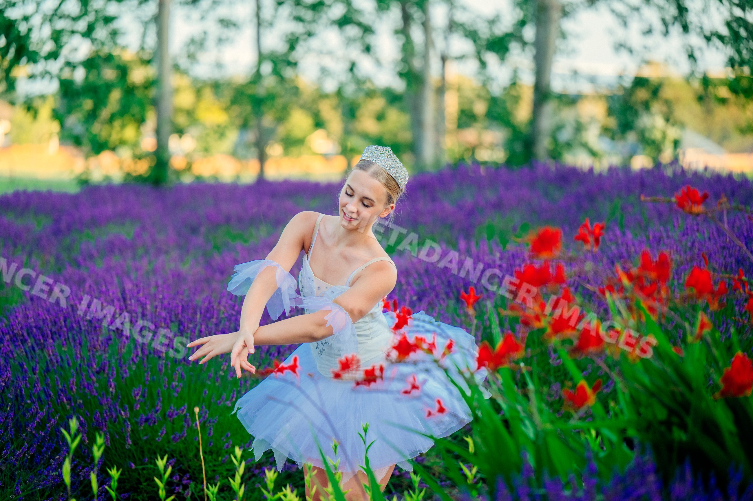 A ballerina dances gracefully in a colorful lavender field in wa USA