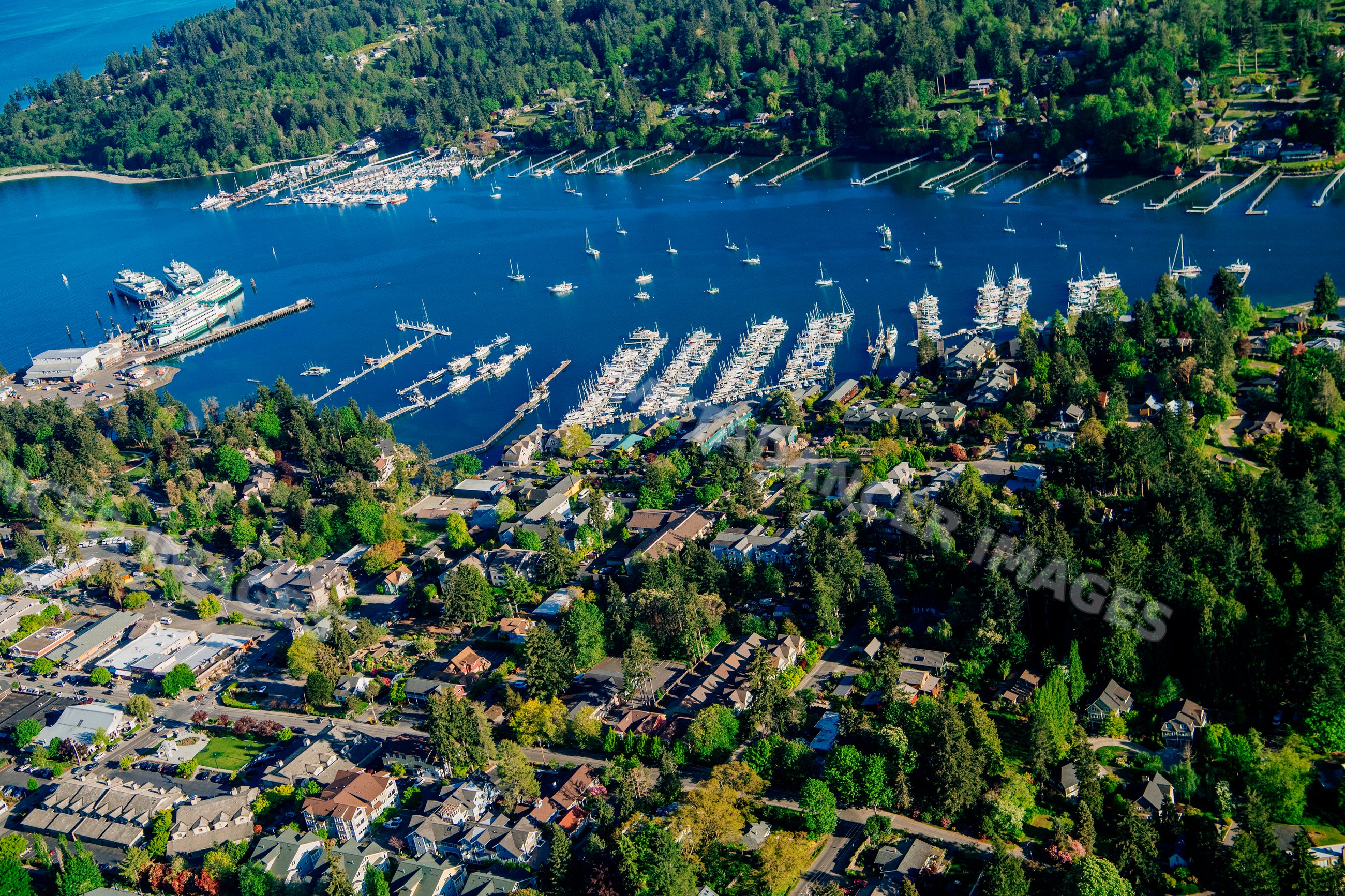 Boats docked at marina on Bainbridge Island waterfront