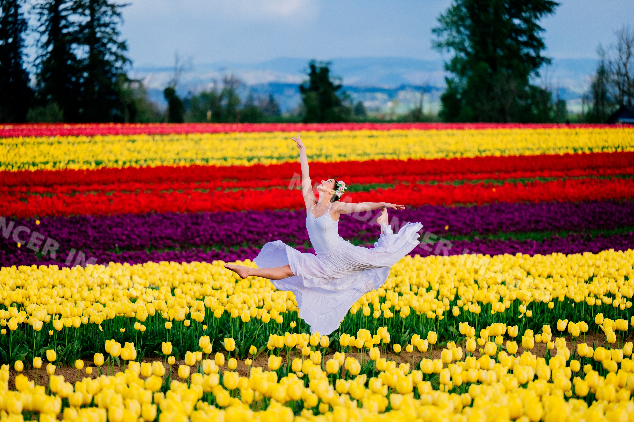 Ballet white dancer leaping in colorful tulip field