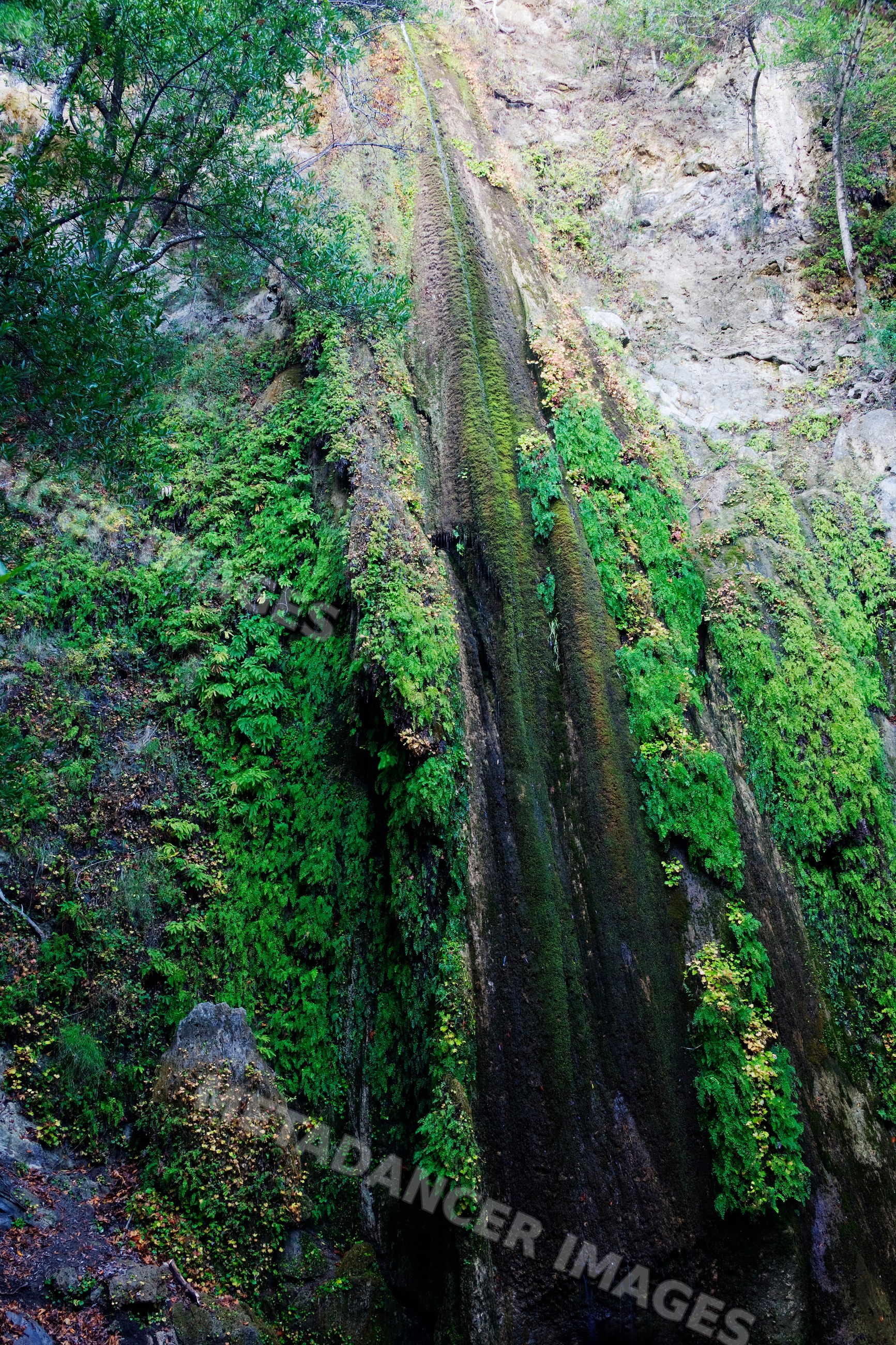 Nojoqui falls waterfall over mossy rock face