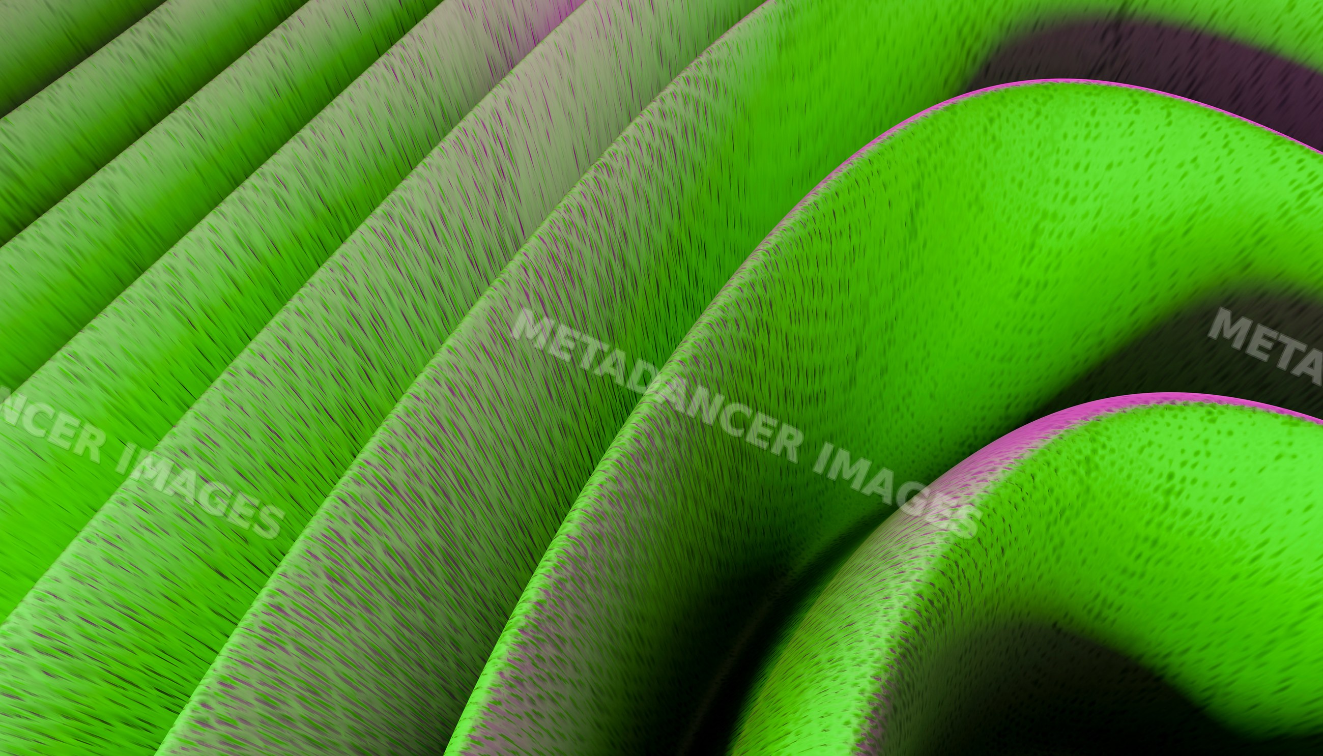 Close-up of green succulent leaves with textured surface