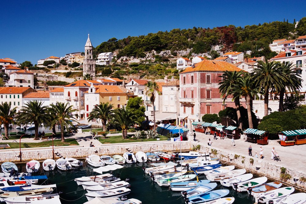 Harbor with boats and palm trees, croatia