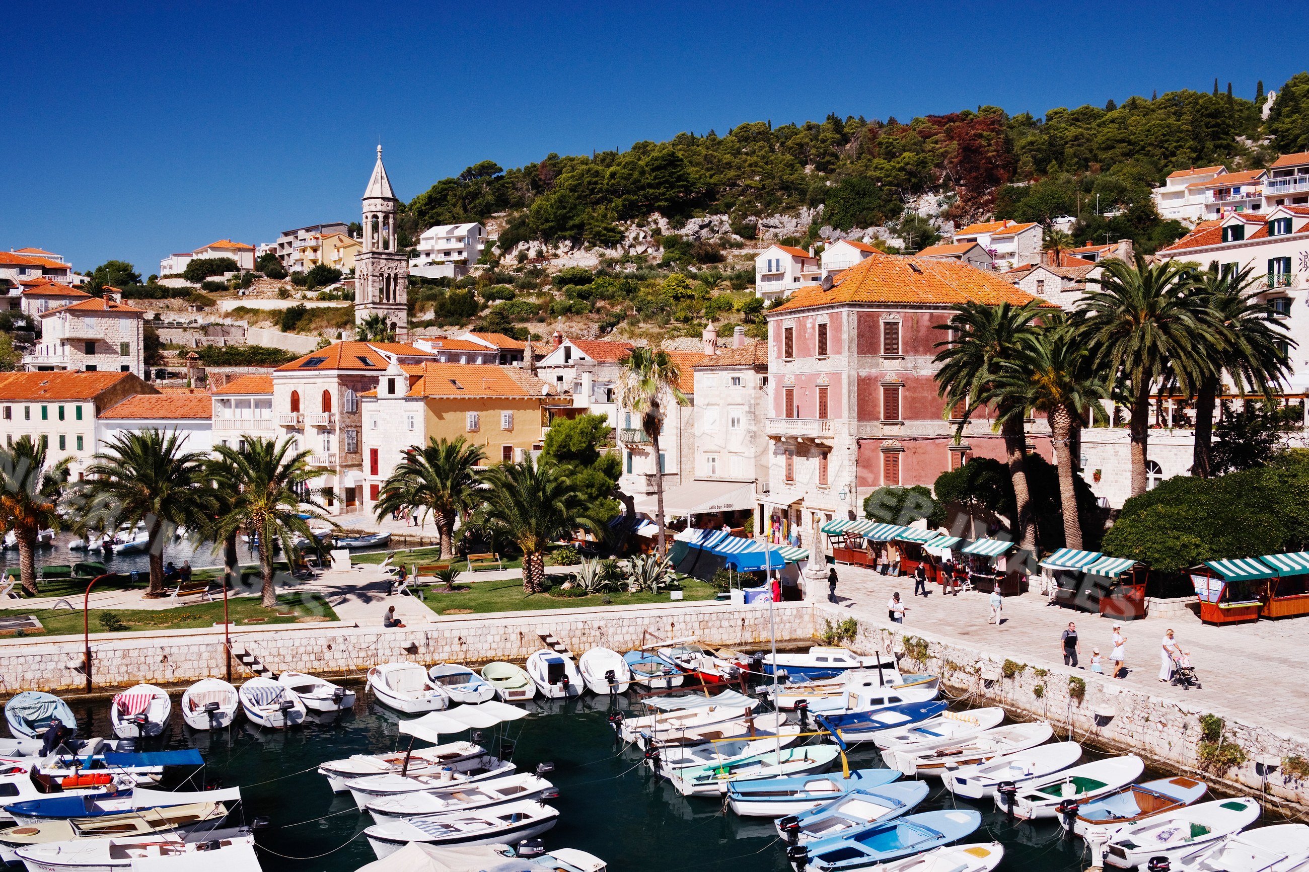 Harbor with boats and palm trees, croatia