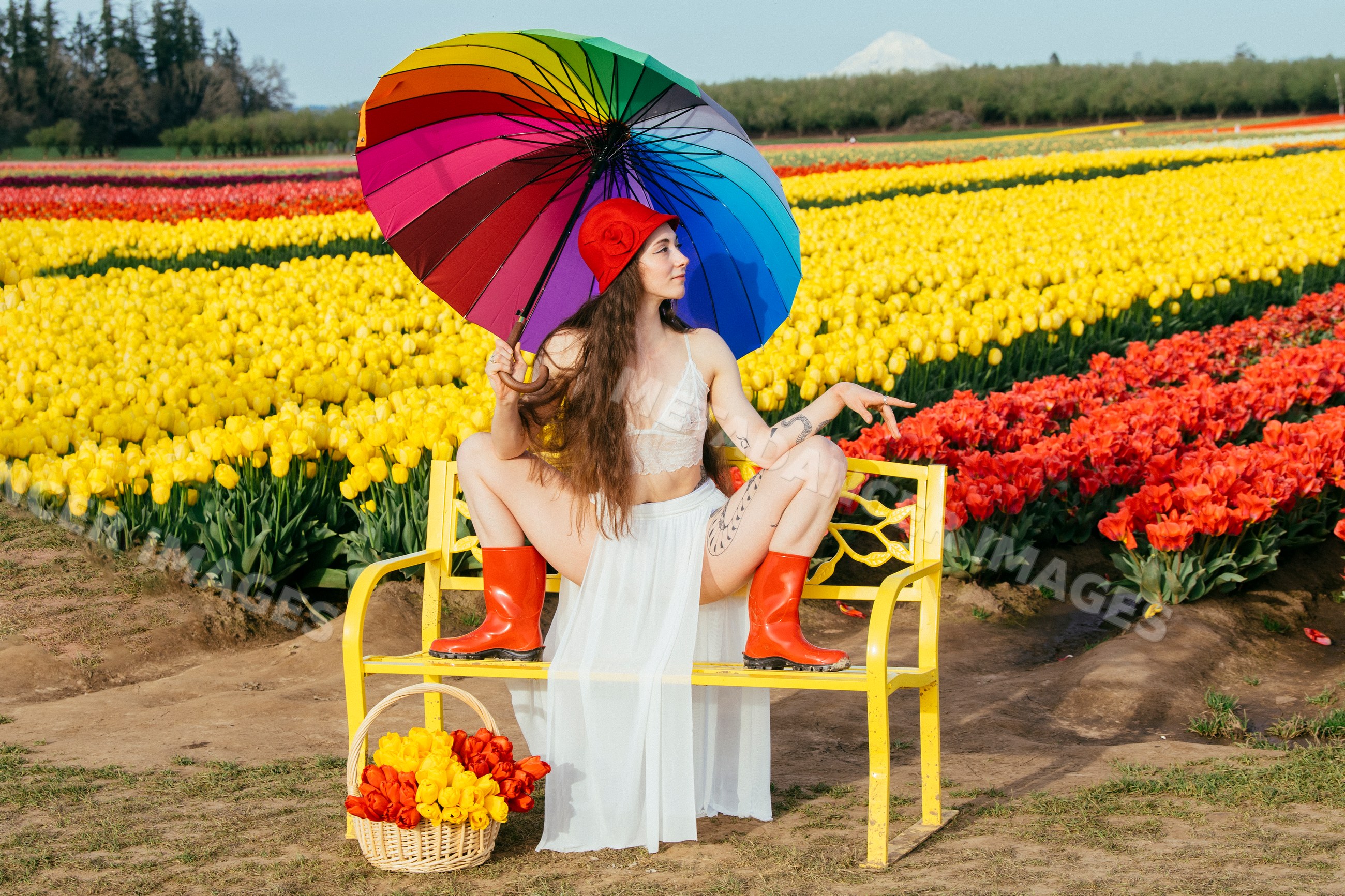 White woman sitting on yellow bench with umbrella in tulip field