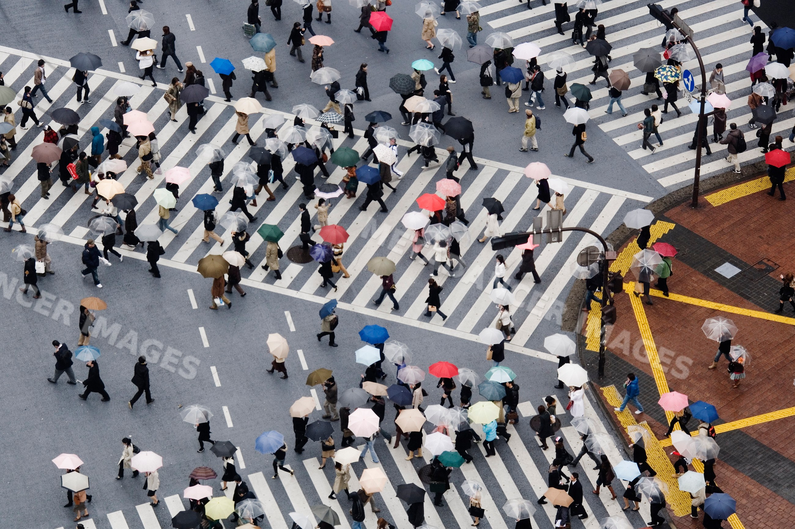 Pedestrians crossing shibuya intersection with umbrellas