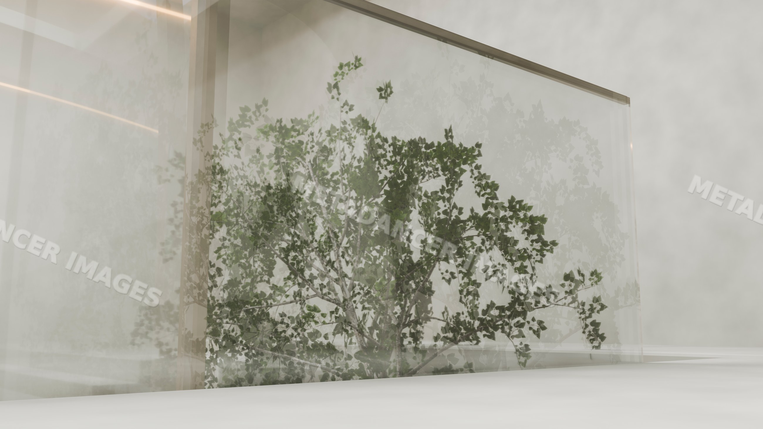 Glass panel reflecting leafy tree in minimalist outdoor setting