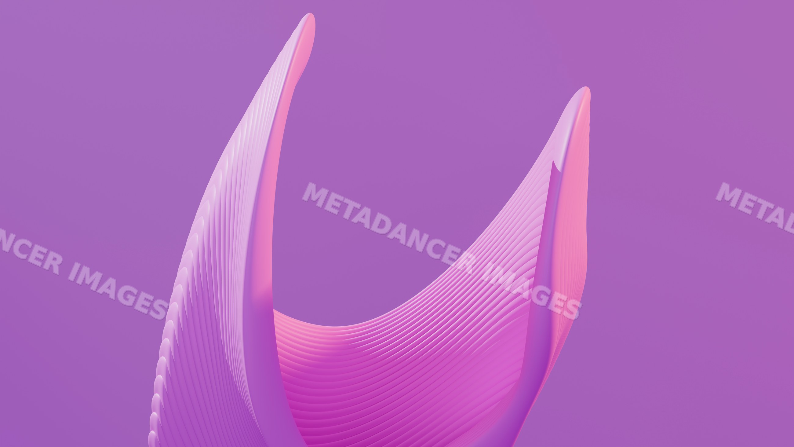 Abstract 3d flowing wave shape with pink and purple gradient