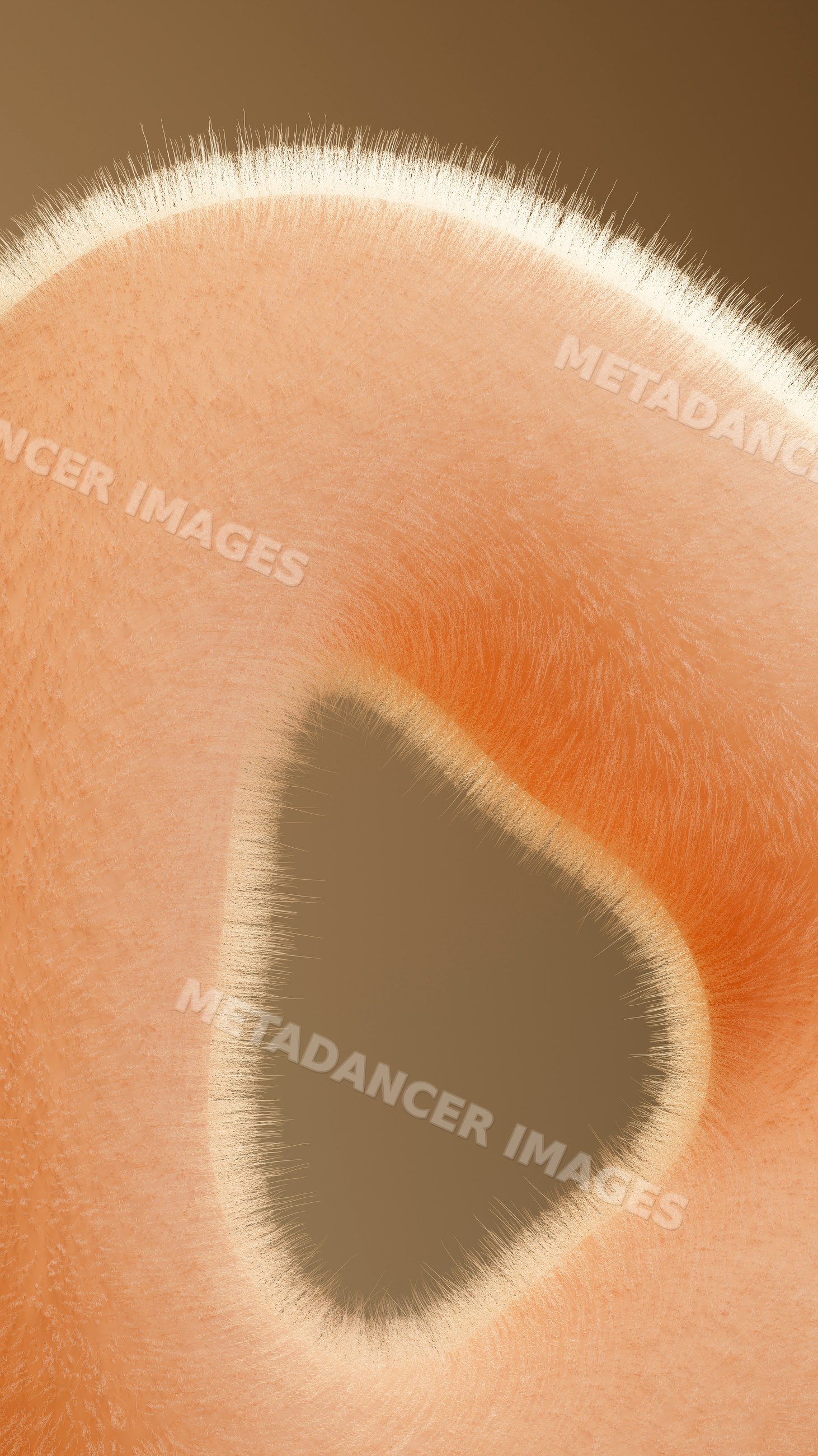 Abstract digital illustration of a curved fuzzy fiber shape