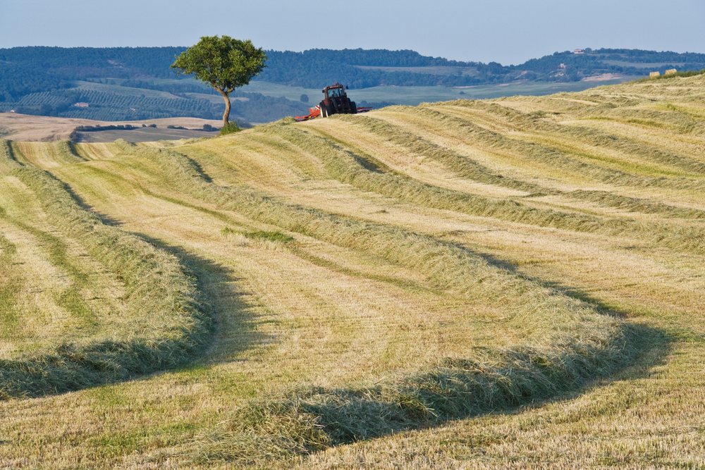 Tractor harvesting hay in field with rolling hills tuscany