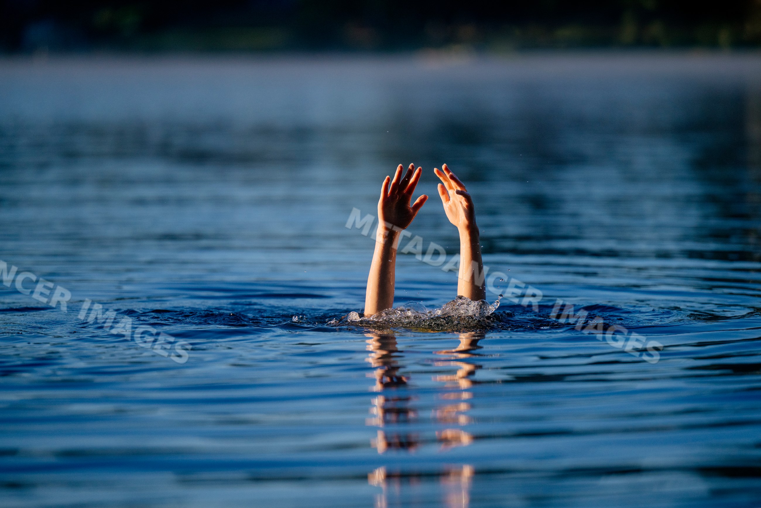 Arms raised above water surface in a lake