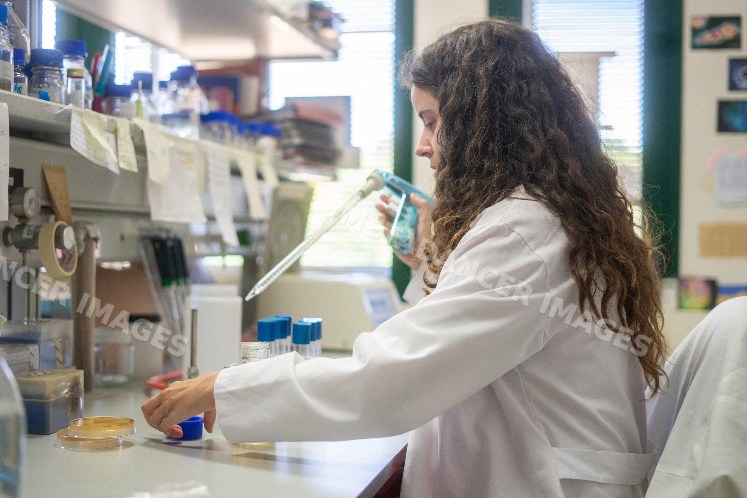 Scientist using pipette with petri dishes in laboratory at Seville
