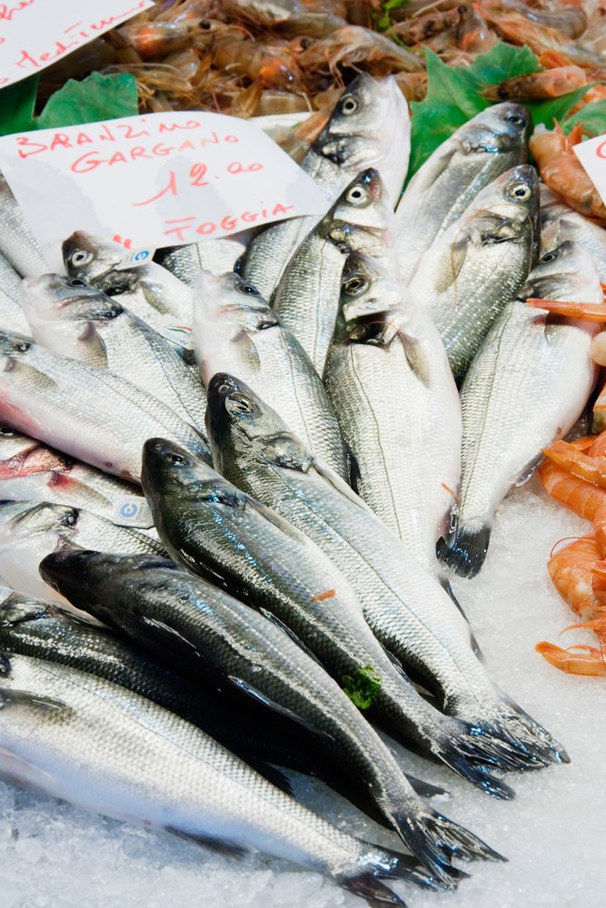 Fresh sea bass and raw shrimp venice veneto italy