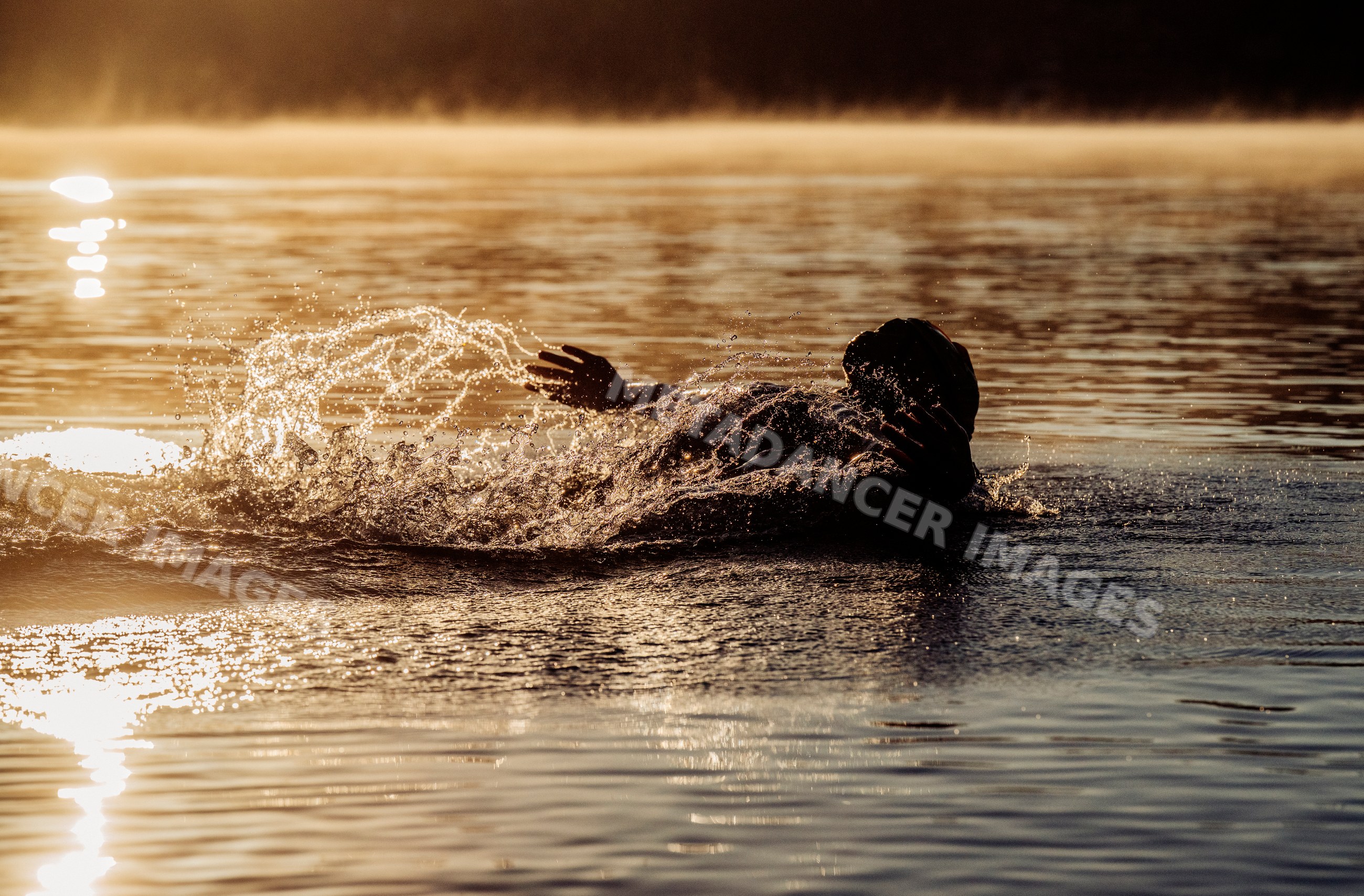 White person swimming on lake with sunlight reflecting on water