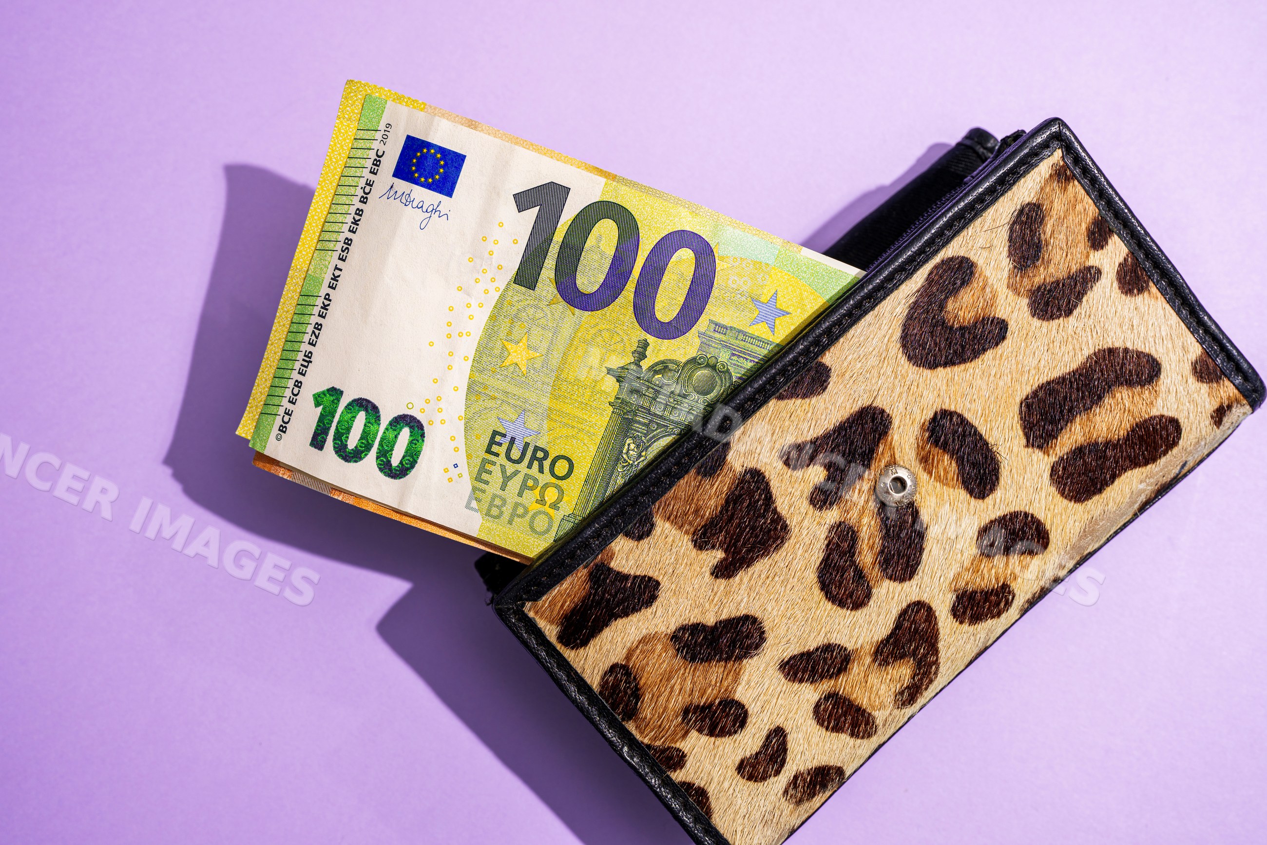 100 euro banknote in leopard print wallet on purple studio background