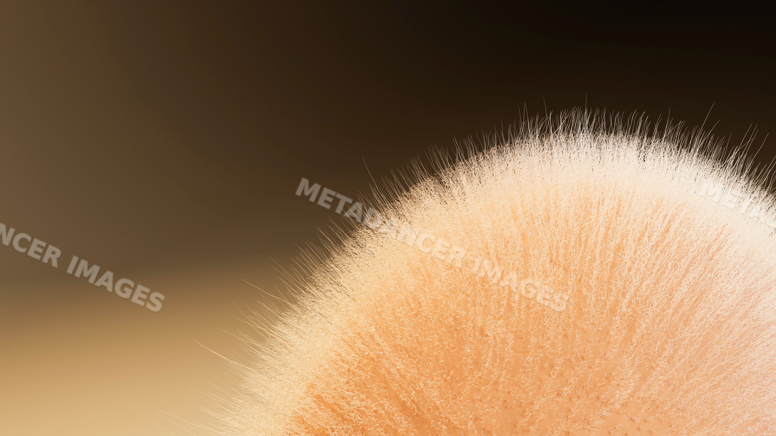 Close-up illustration of orange mold colony with fine hyphae