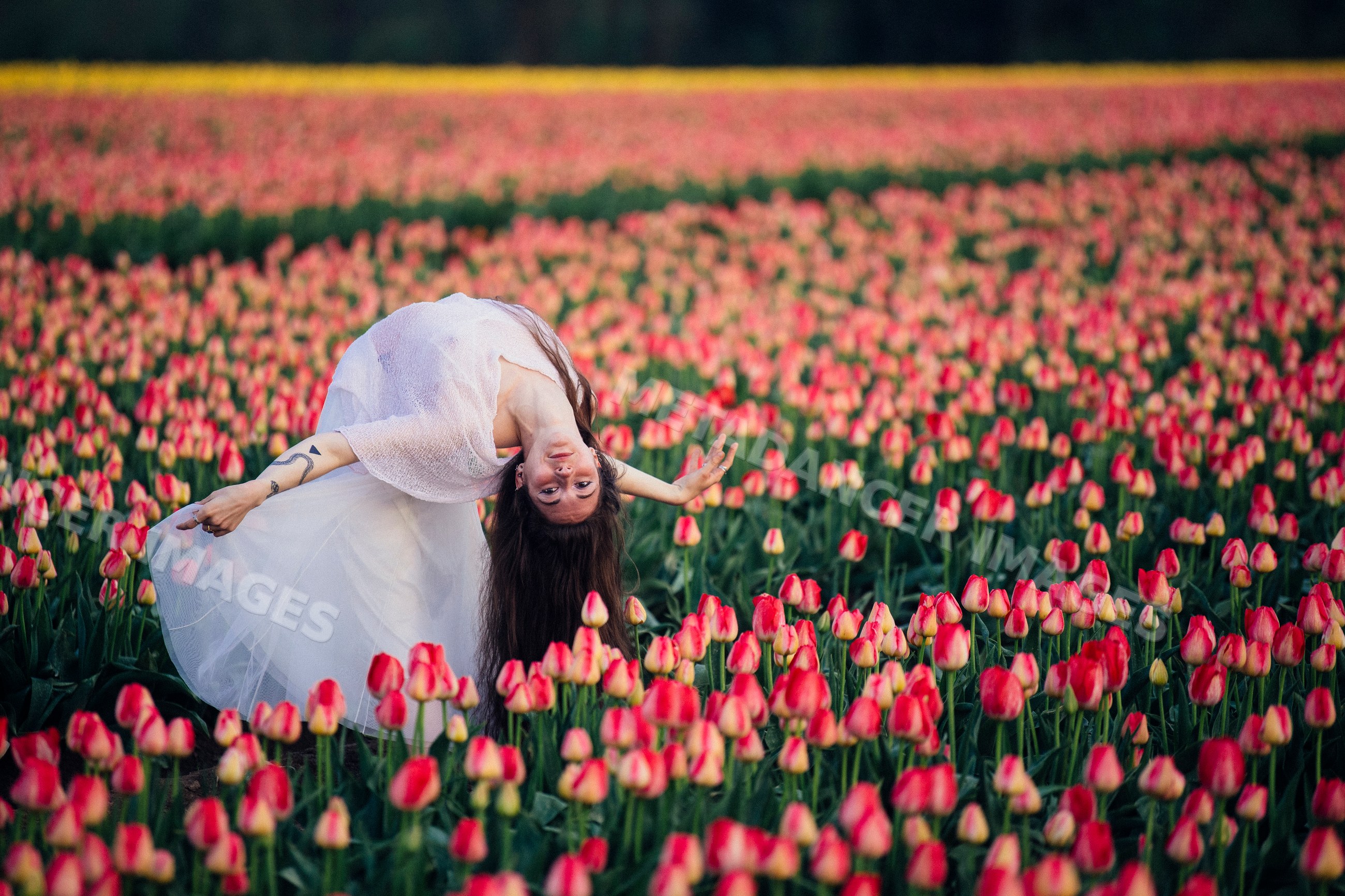 White woman bending backward in pink tulip field outdoors