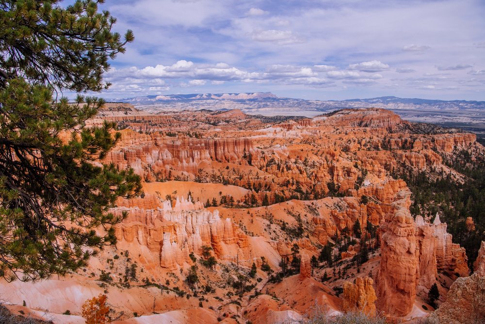 Scenic view of Bryce Canyon National Park with red rock formations