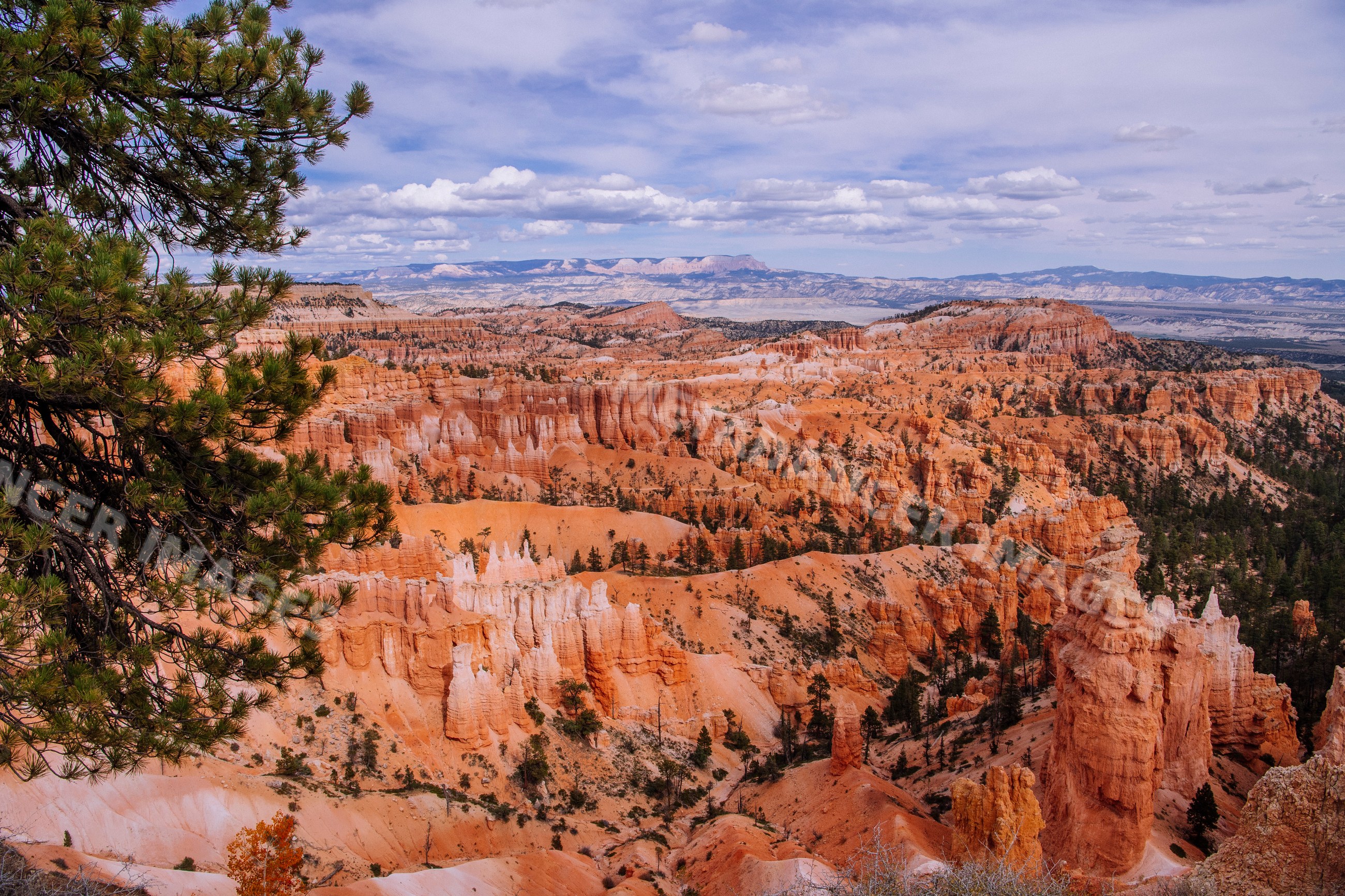 Scenic view of Bryce Canyon National Park with red rock formations