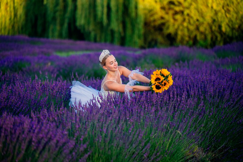 A ballerina holding sunflowers dances gracefully in a lavender field