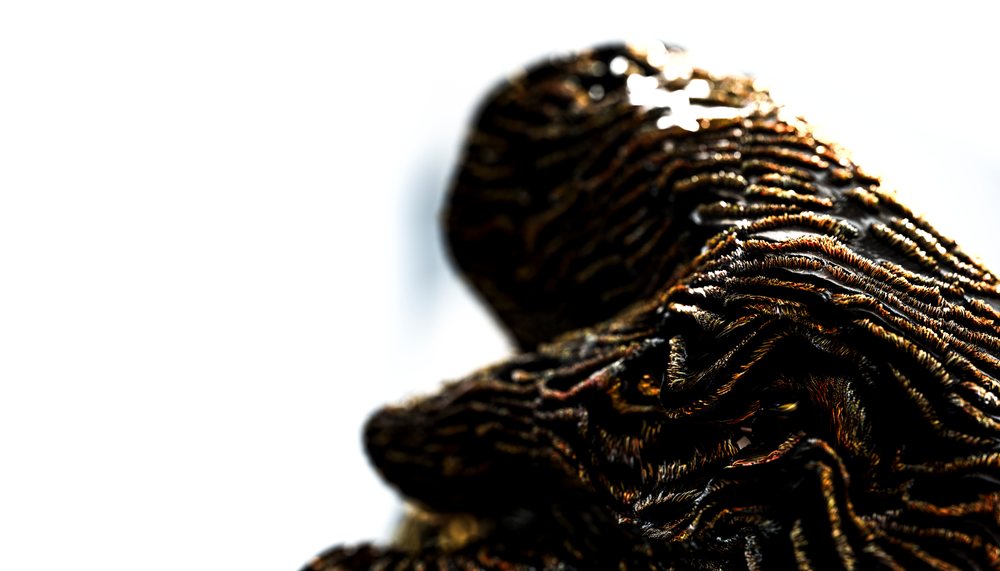 Close-up of fresh Black truffle with textured organic surface