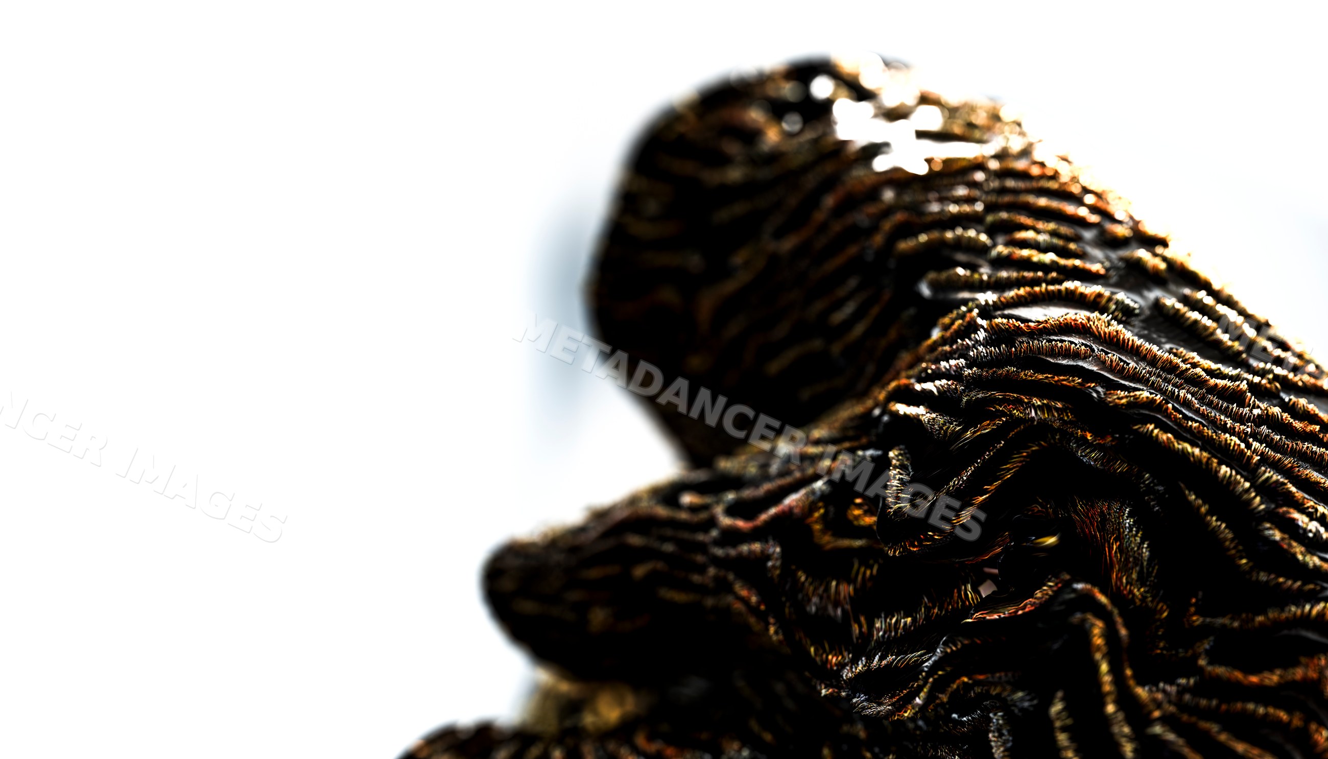 Close-up of fresh Black truffle with textured organic surface