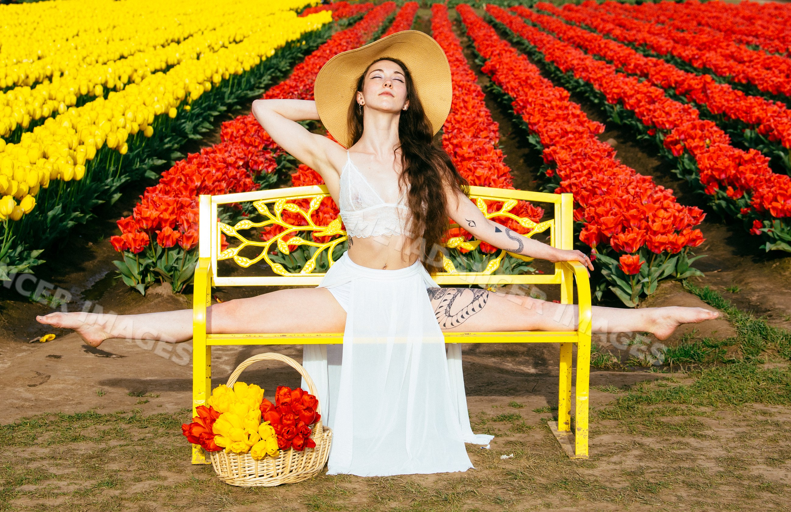 White woman doing splits on yellow bench in vibrant USA tulip field