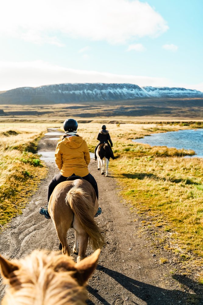 White People riding horses on a scenic dirt trail