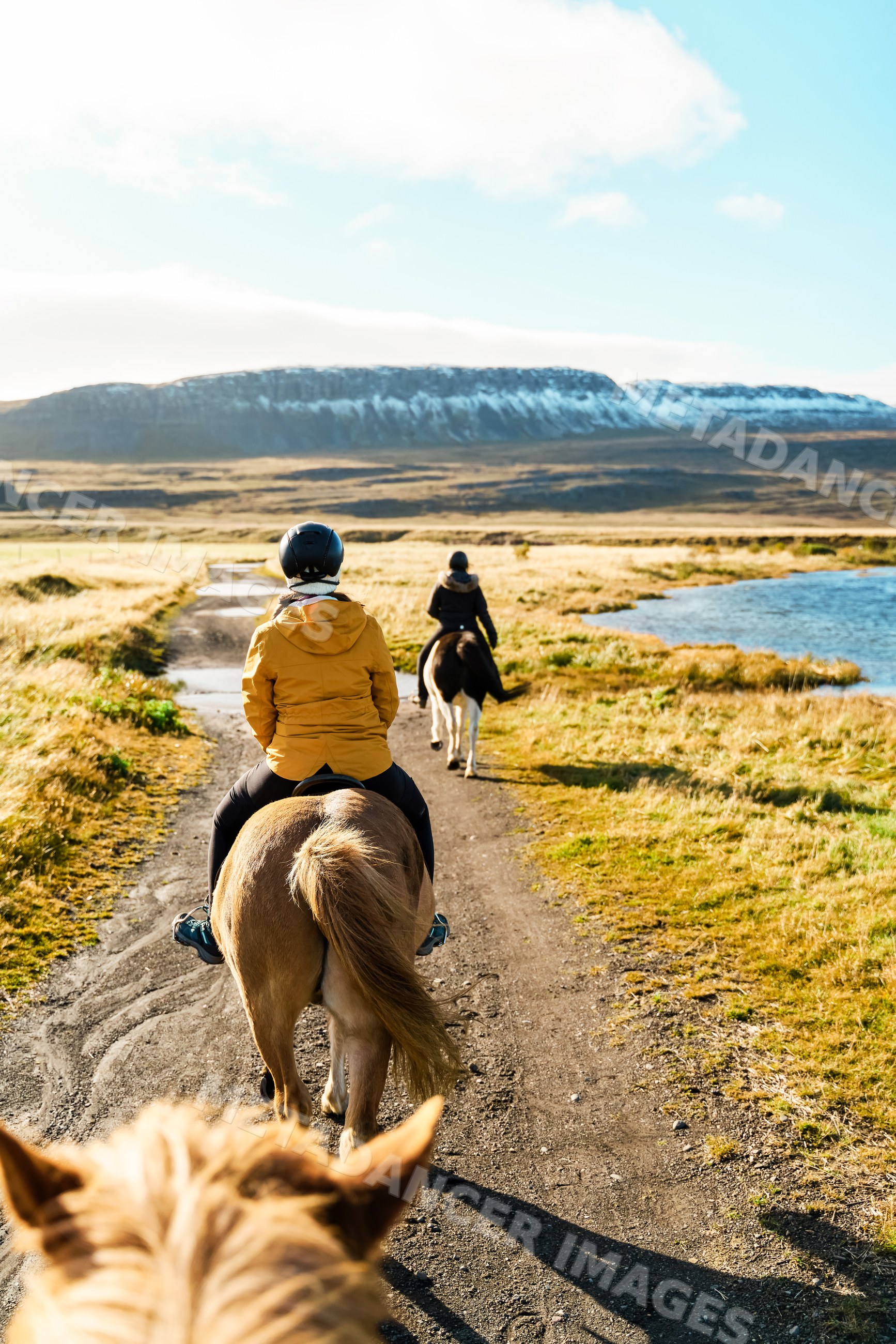White People riding horses on a scenic dirt trail