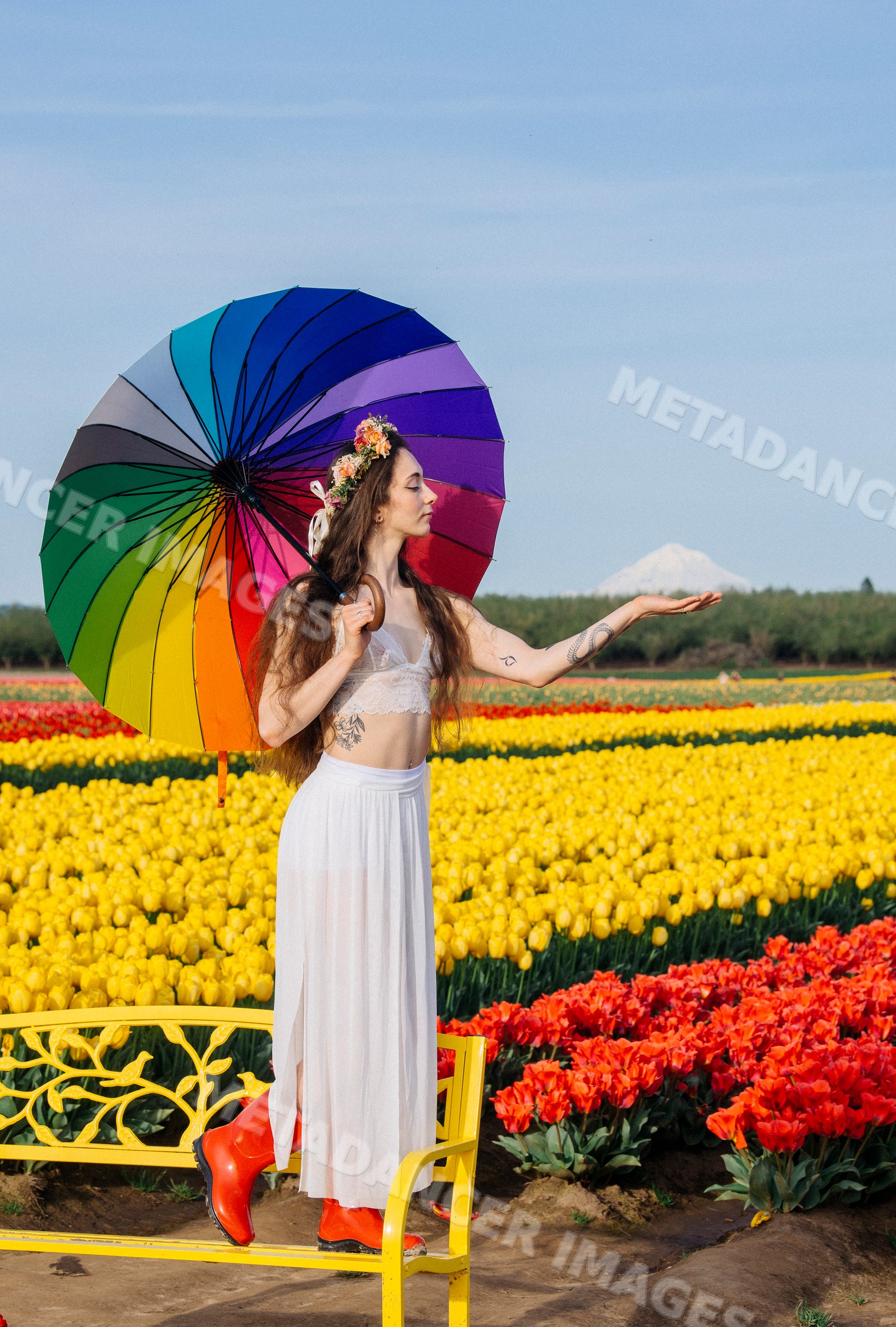 White woman standing on bench in tulip field holding rainbow umbrella