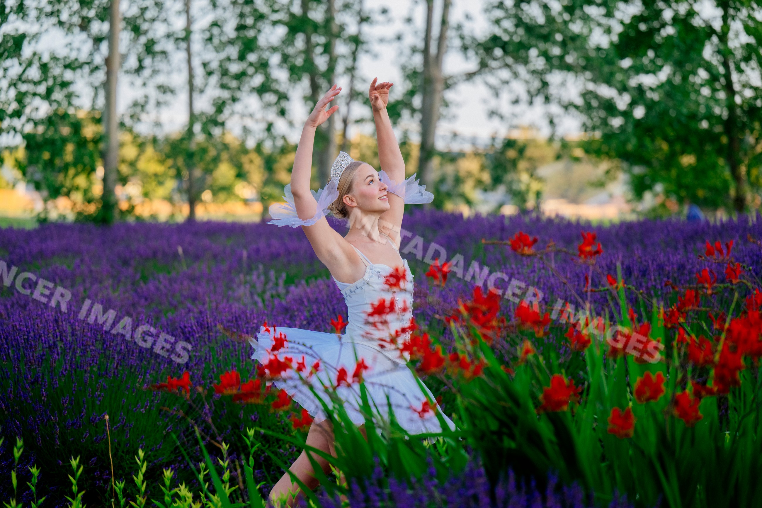 A ballet white dancer performing gracefully