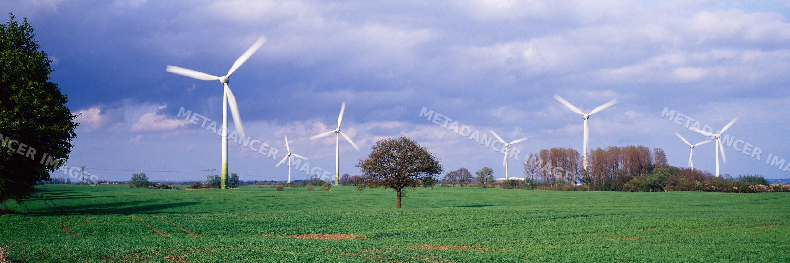 Wind turbines spinning in green field with tree and cloudy sky