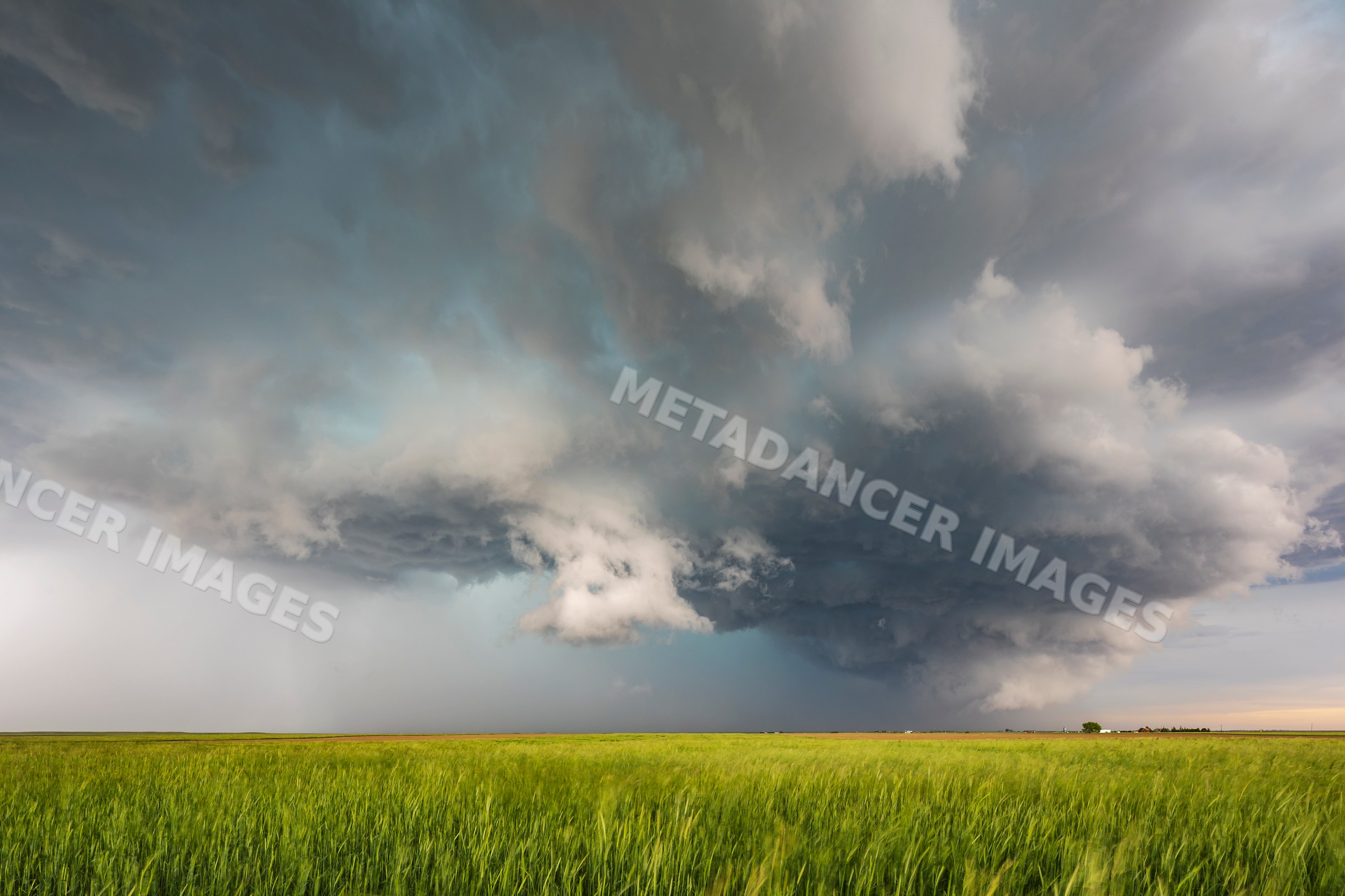 Supercell storm developing over field in carpenter, wyoming, USA