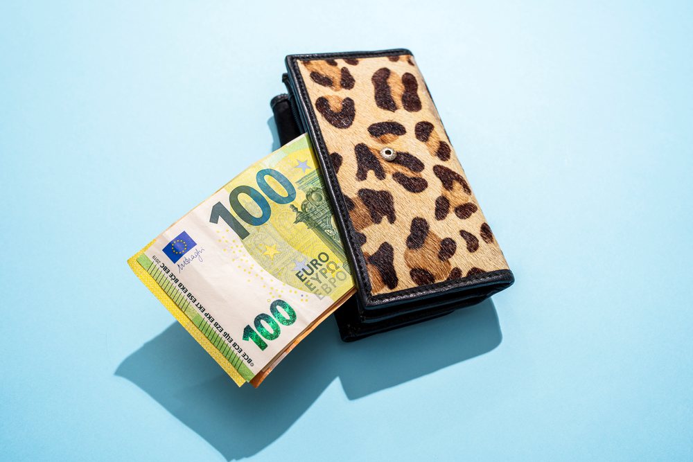 Leopard print wallet with 100 euro banknote on blue studio background
