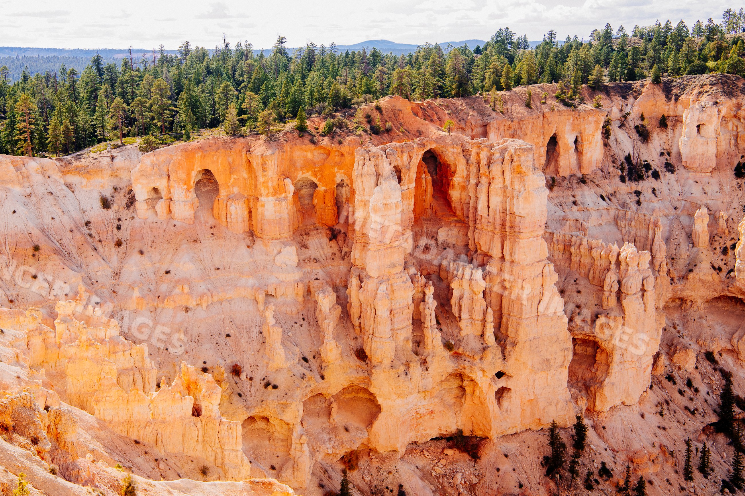 Rock formations and forest in Bryce Canyon National Park