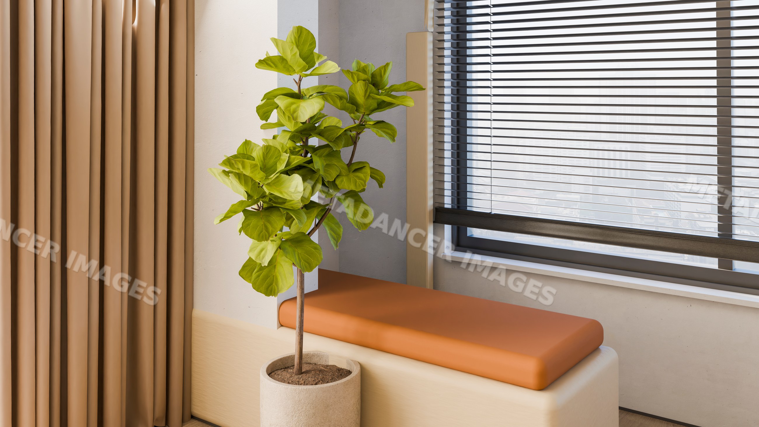 Indoor leafy potted plant beside window bench with blinds