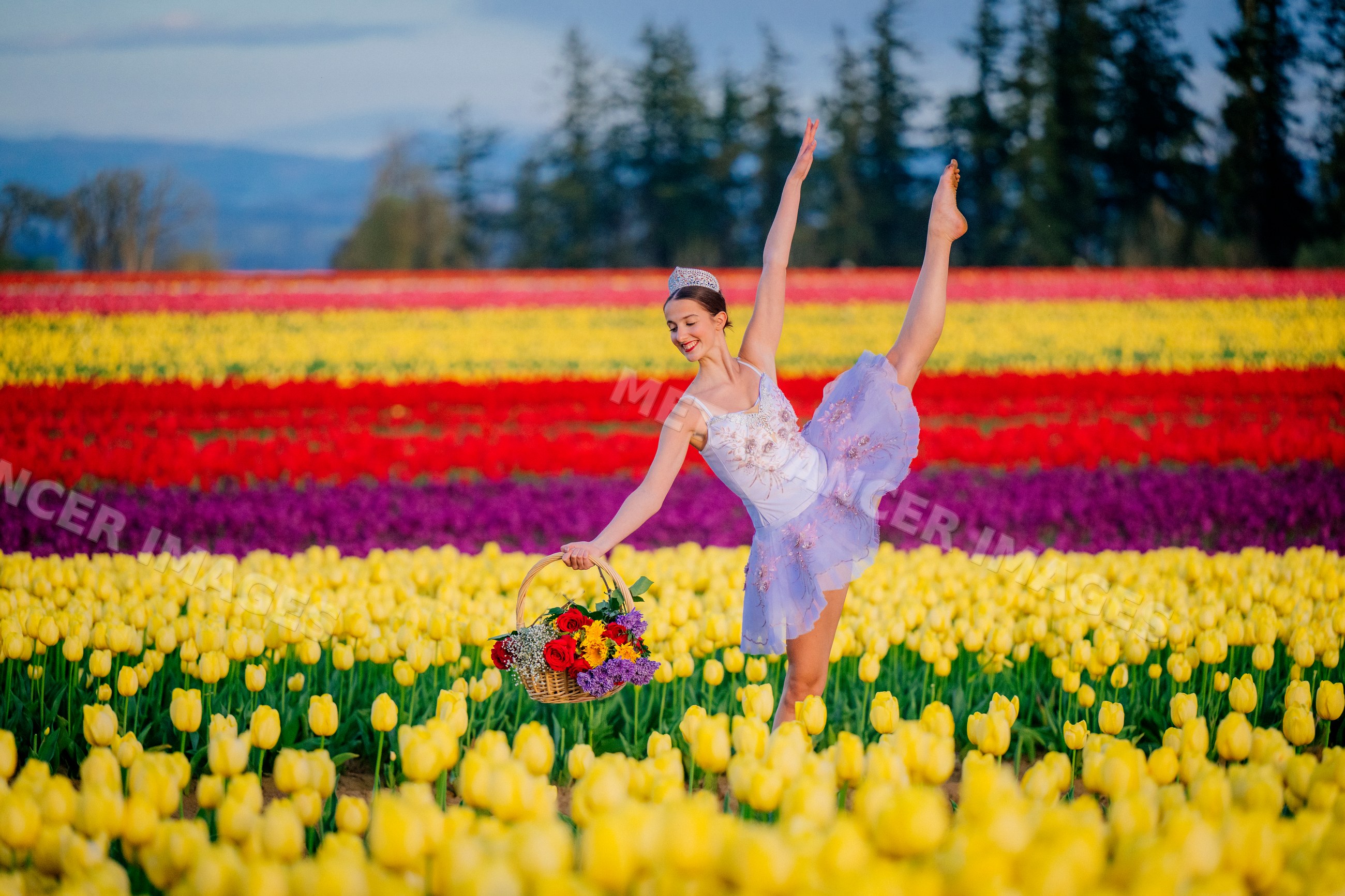 Ballet white dancer posing with flowers in vibrant tulip field