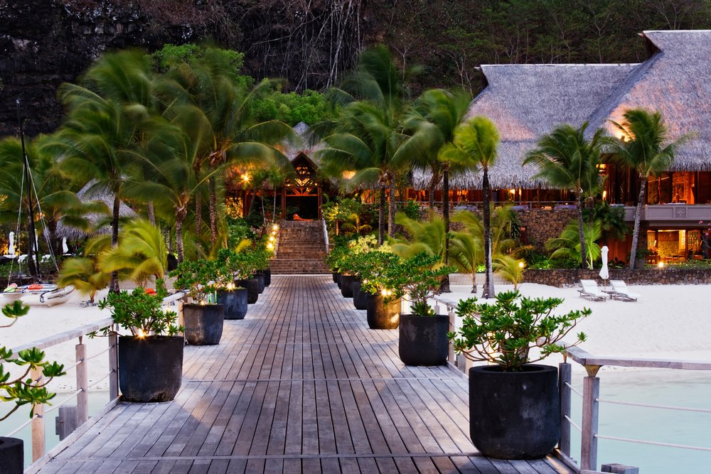 Resort boardwalk with palm trees and potted plants