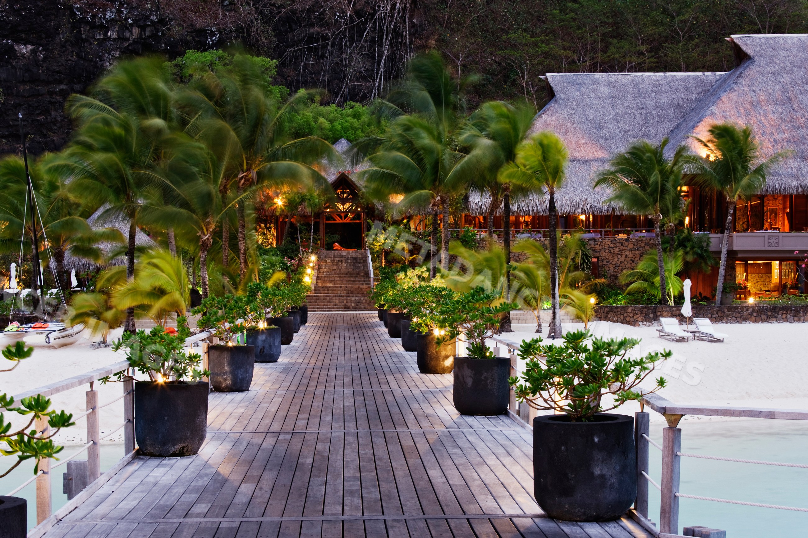 Resort boardwalk with palm trees and potted plants