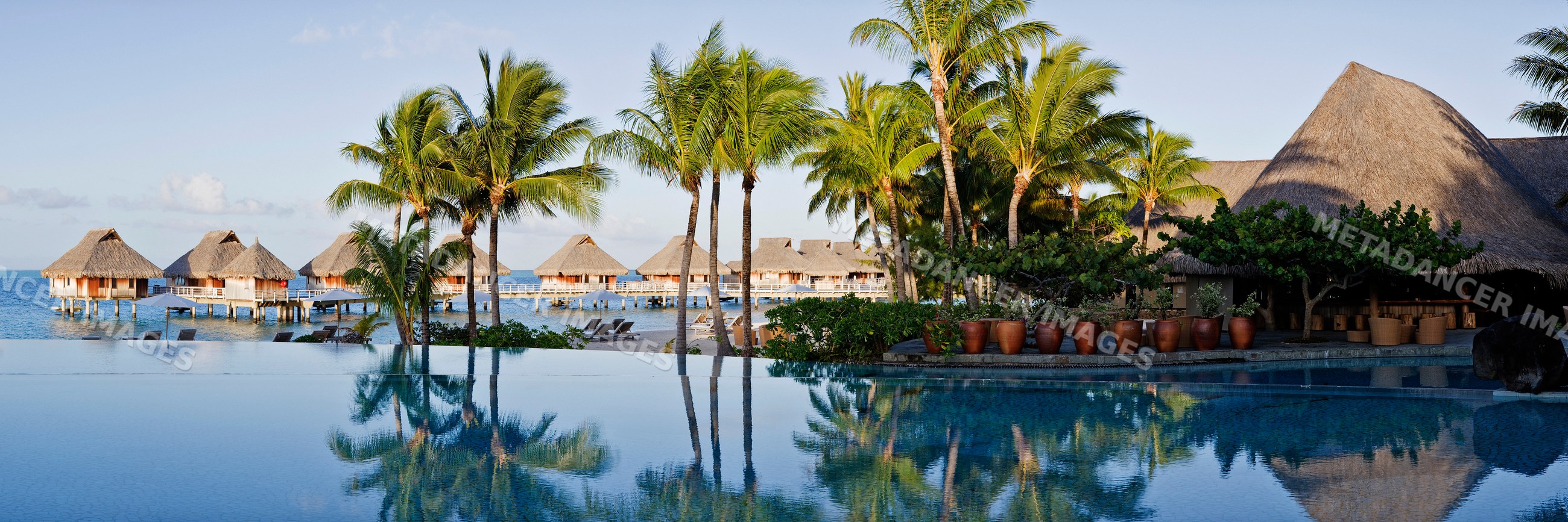 Infinity swimming pool reflecting palm trees with tropical overwater