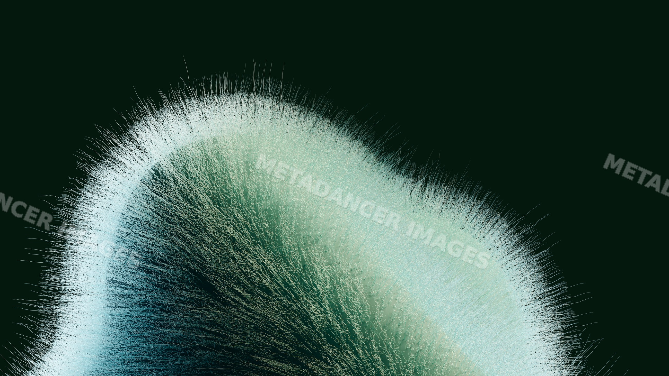 Close-up of green mold fungus with detailed spore filaments