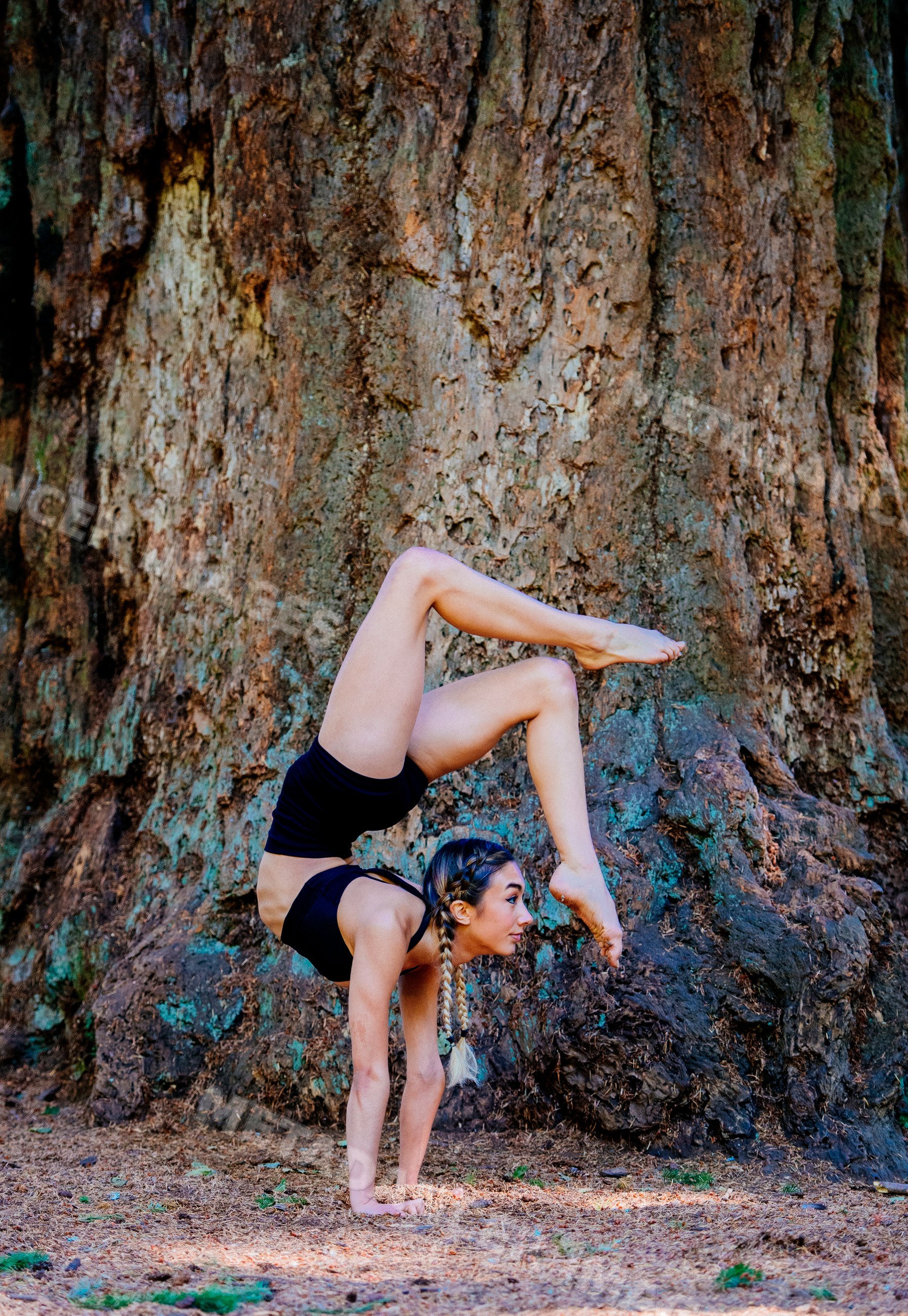 Contortionist white woman performing handstand in forest near Tacoma