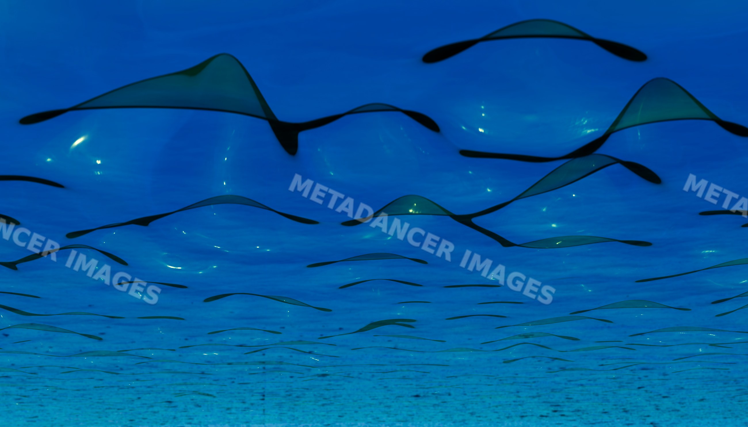 Transparent curved plastic sheets forming abstract wave pattern