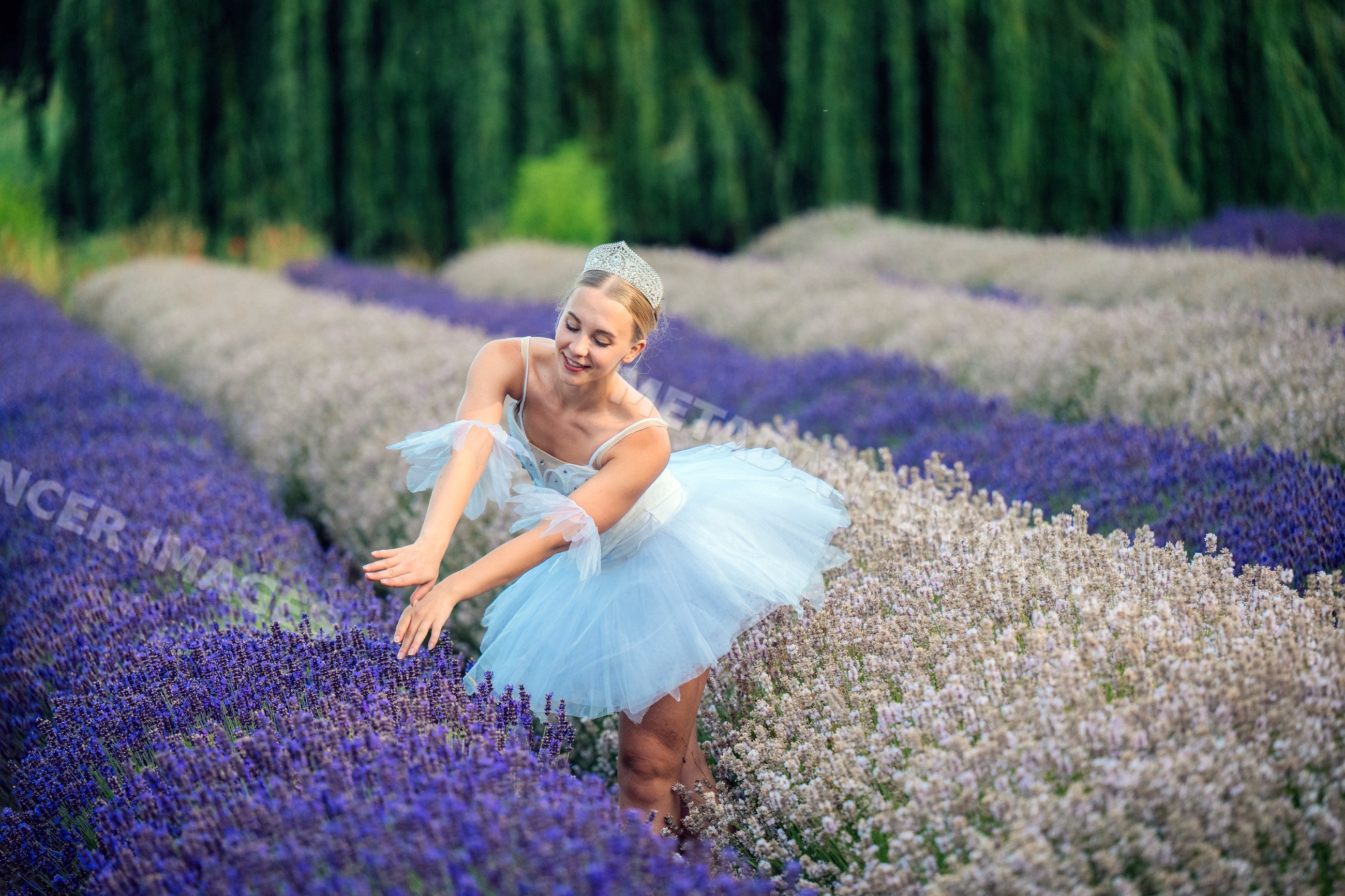 A ballet white dancer gracefully poses in a colorful flower field